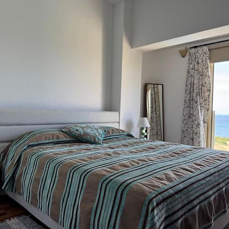 נאו חוריו Beach Villa Olivia מראה חיצוני תמונה